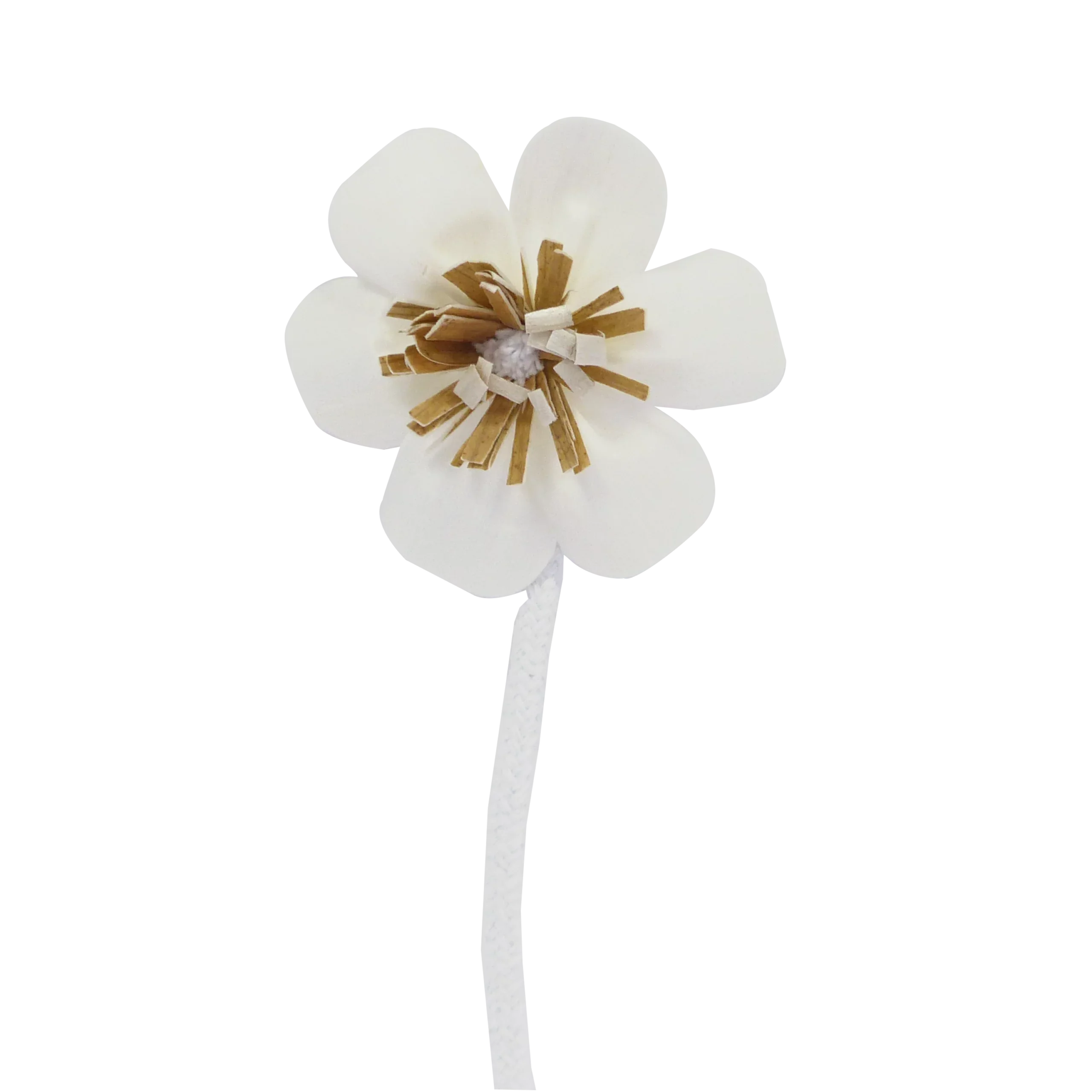 Anemonenblüte - Dochtdiffusor