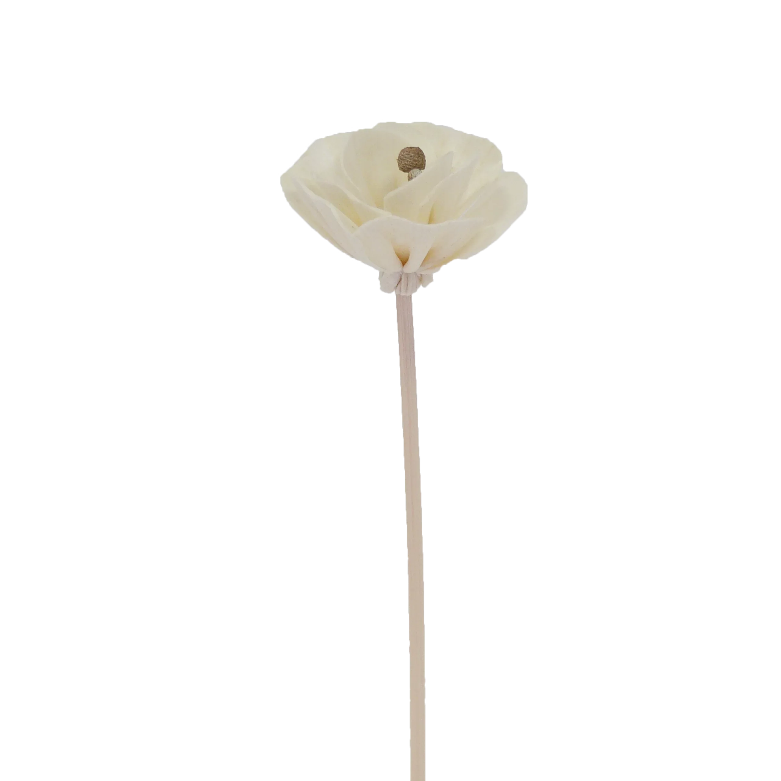 Chinesische Pfingstrosenblüte – Rattan-Diffusorstab