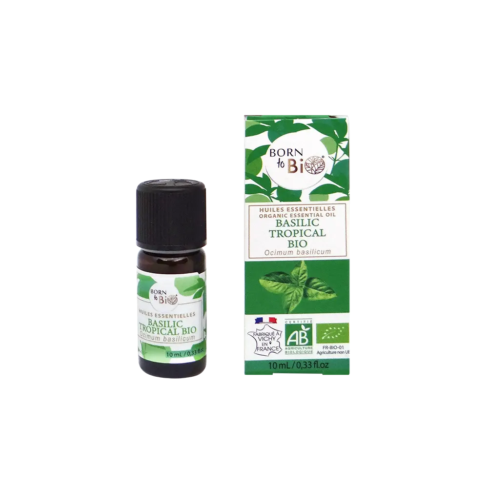 Organic tropical basil essential oil 