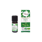 Organic tropical basil essential oil 