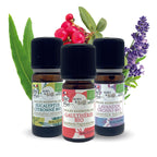 Boxset mit Sportthema