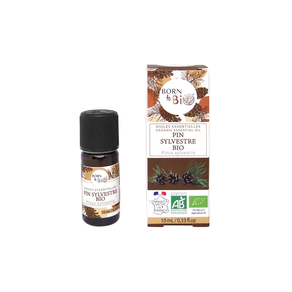 Organic Scots Pine essential oil 