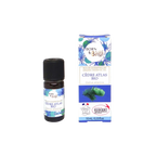 Ätherisches Bio-Öl der Atlaszeder 