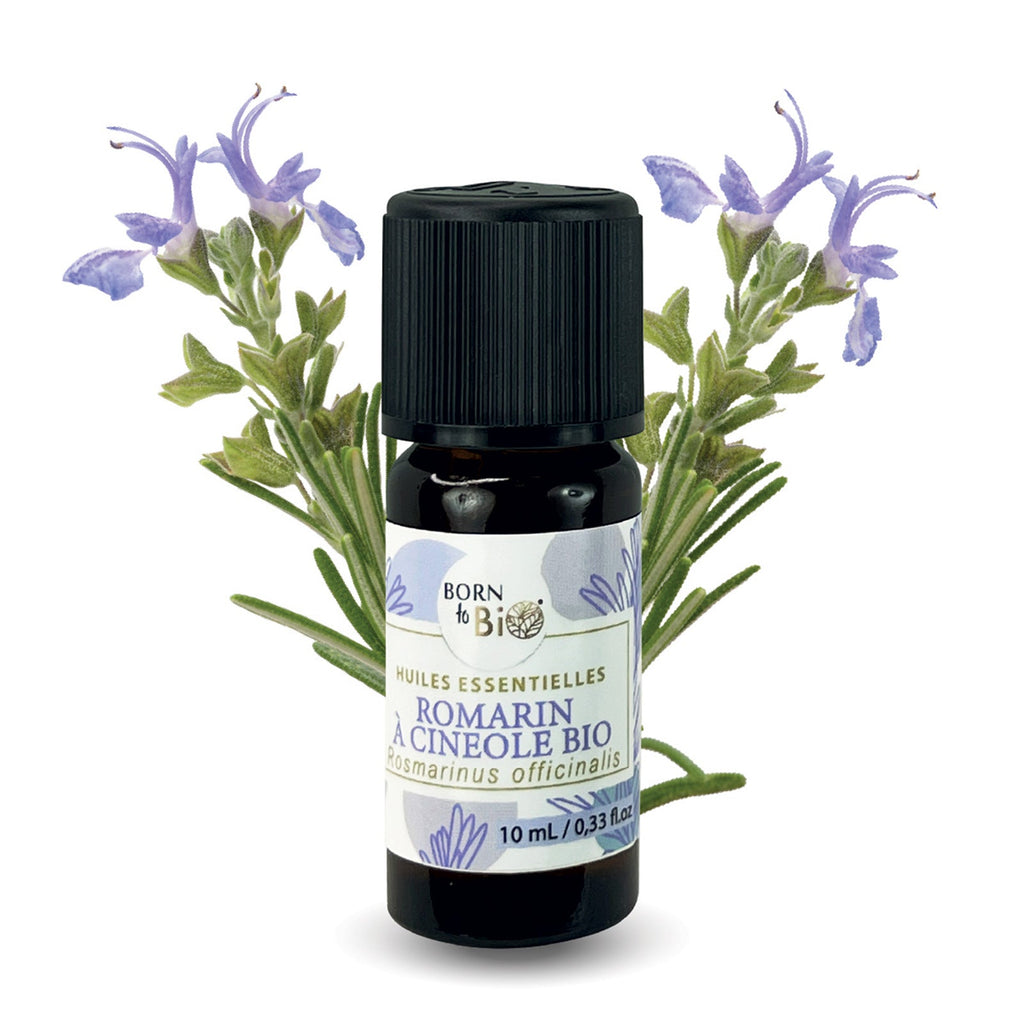 Certified Organic Rosemary Cineole Essential Oil