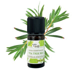 Organic Tea tree essential oil 