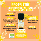 Certified Organic Italian Helichrysum Essential Oil