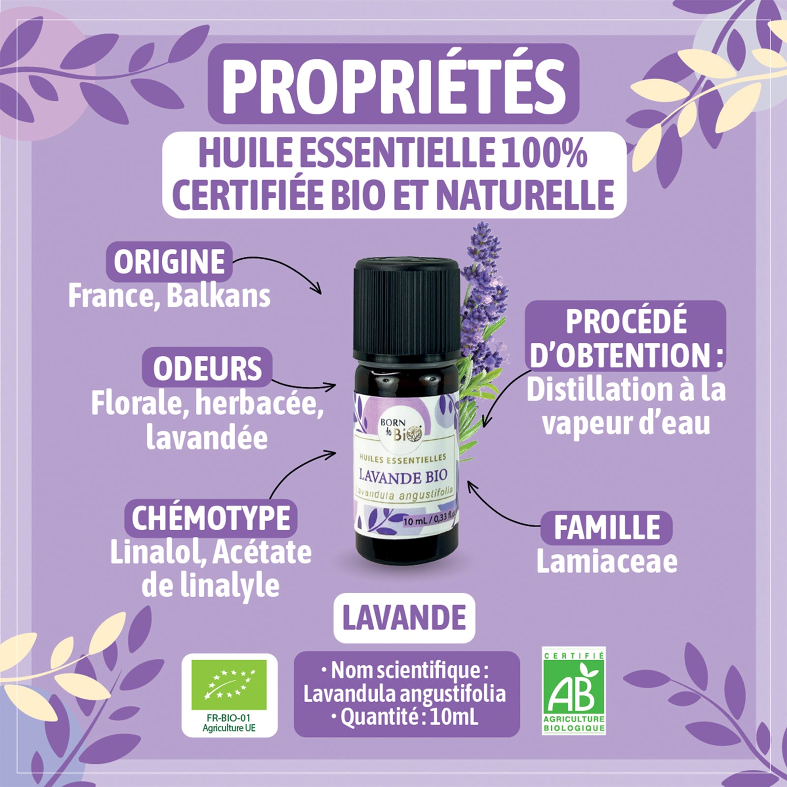 Certified Organic Lavender Essential Oil