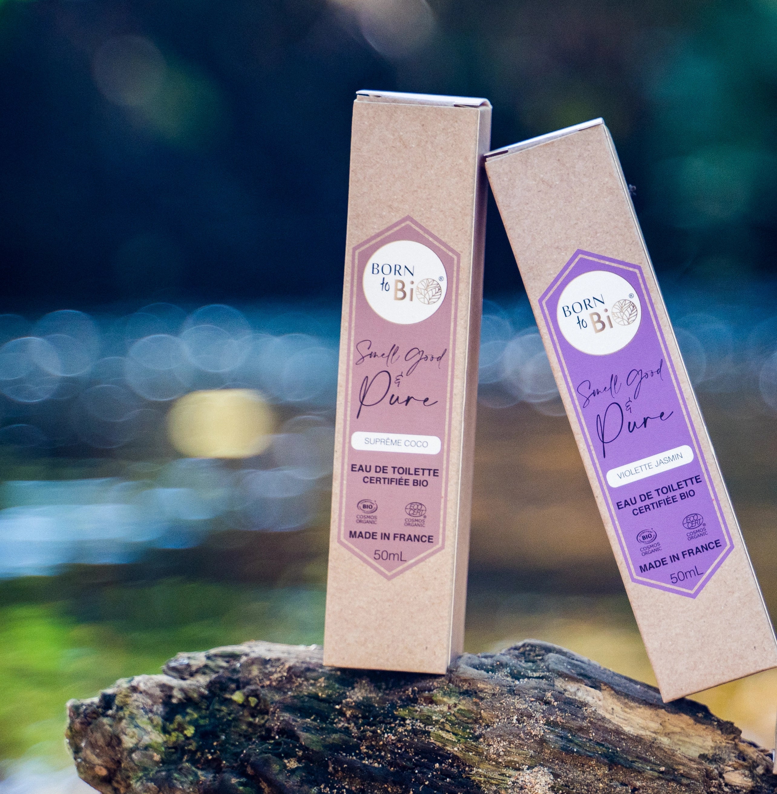 Supreme Coconut - Eau de Toilette