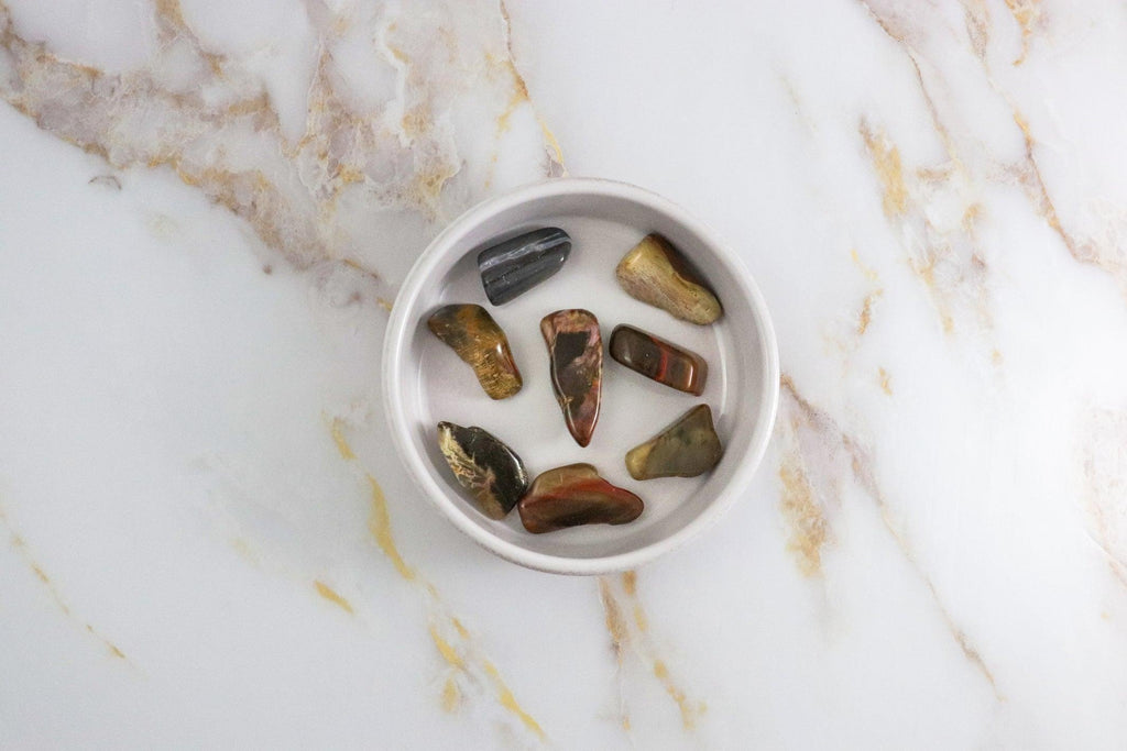 Fossil Wood Tumbled Stone 