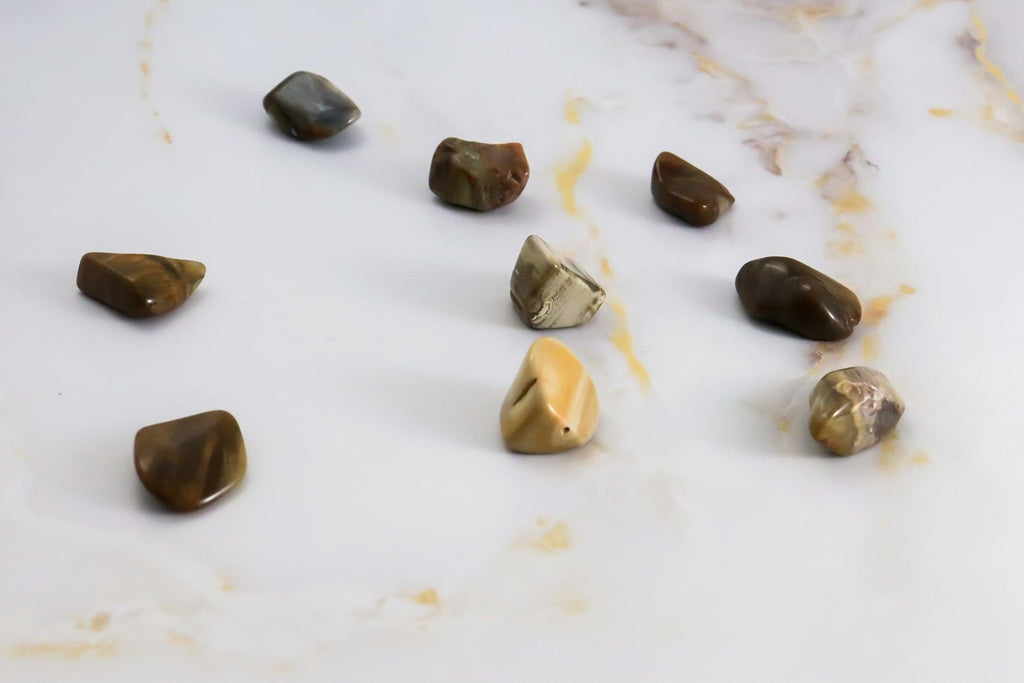 Fossil Wood Tumbled Stone 