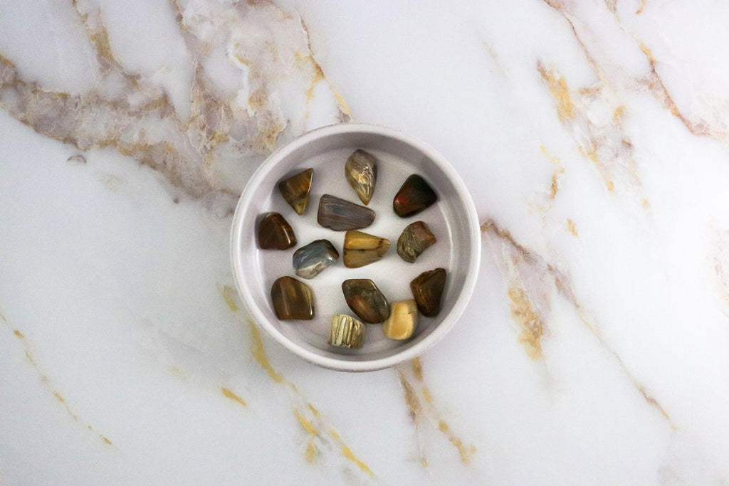 Fossil Wood Tumbled Stone 