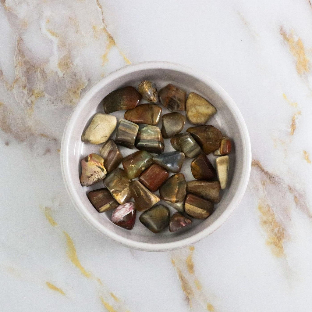 Fossil Wood Tumbled Stone 